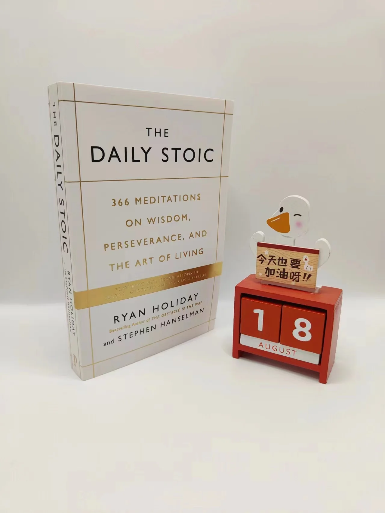 366 Daily Meditation Sessions On Intellectual Perseverance And The Art Of Life The Daily Stoi