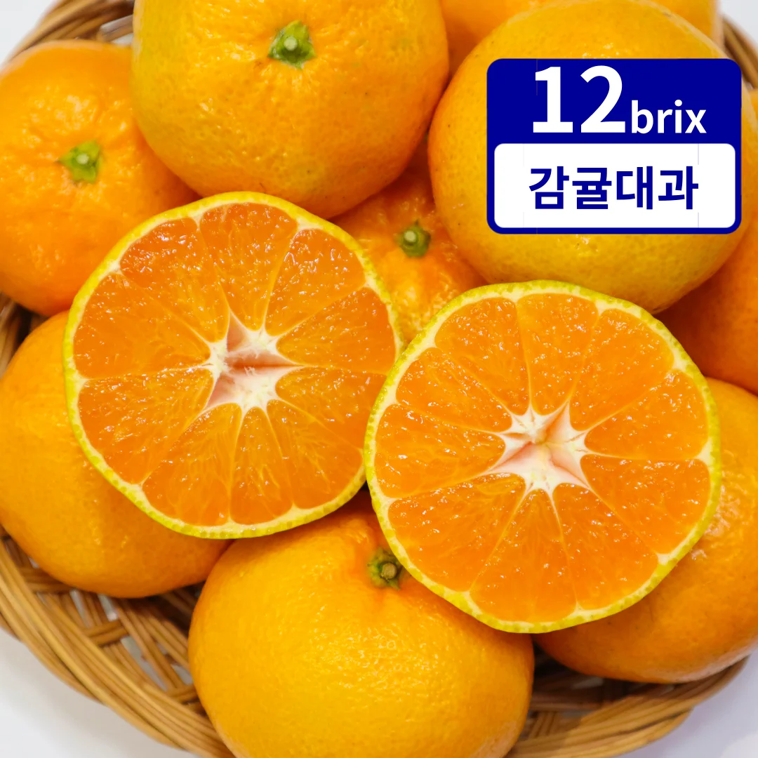 [خاص لفترة محدودة] محتوى السكر اليوسفي جيجو المحدد، حجم كبير 3/5 كجم