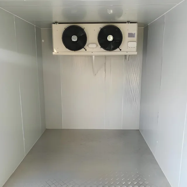 Contenitore Camminata nella stanza di stoccaggio freddo Frigorifero Congelatore Commerciale ad energia solare con pannello