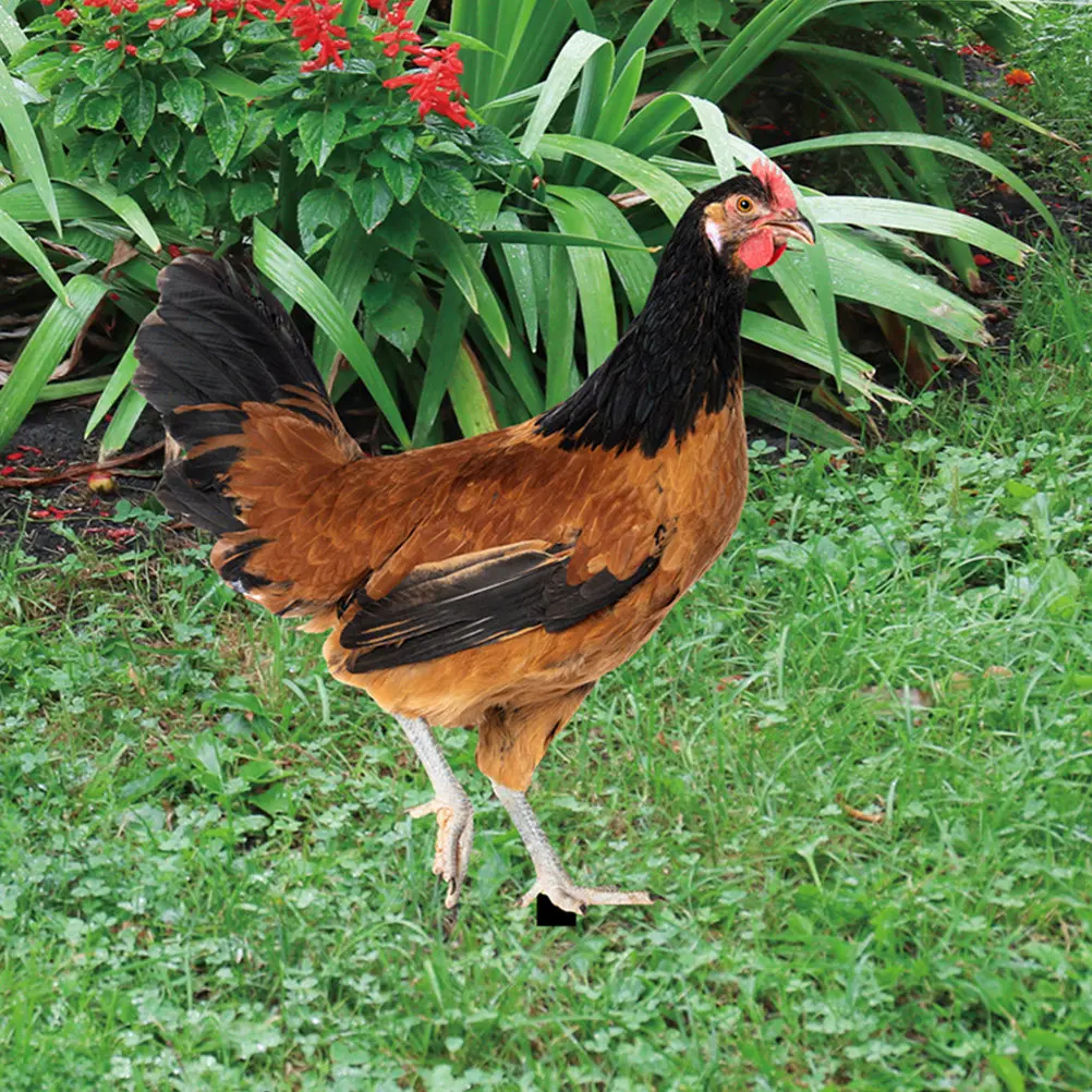 2Pcs Garden Hen Stake Decorative Acrylic Yard Ornaments Chicken Stake Garden Decoration Courtyard Outside Lawn Insert Art