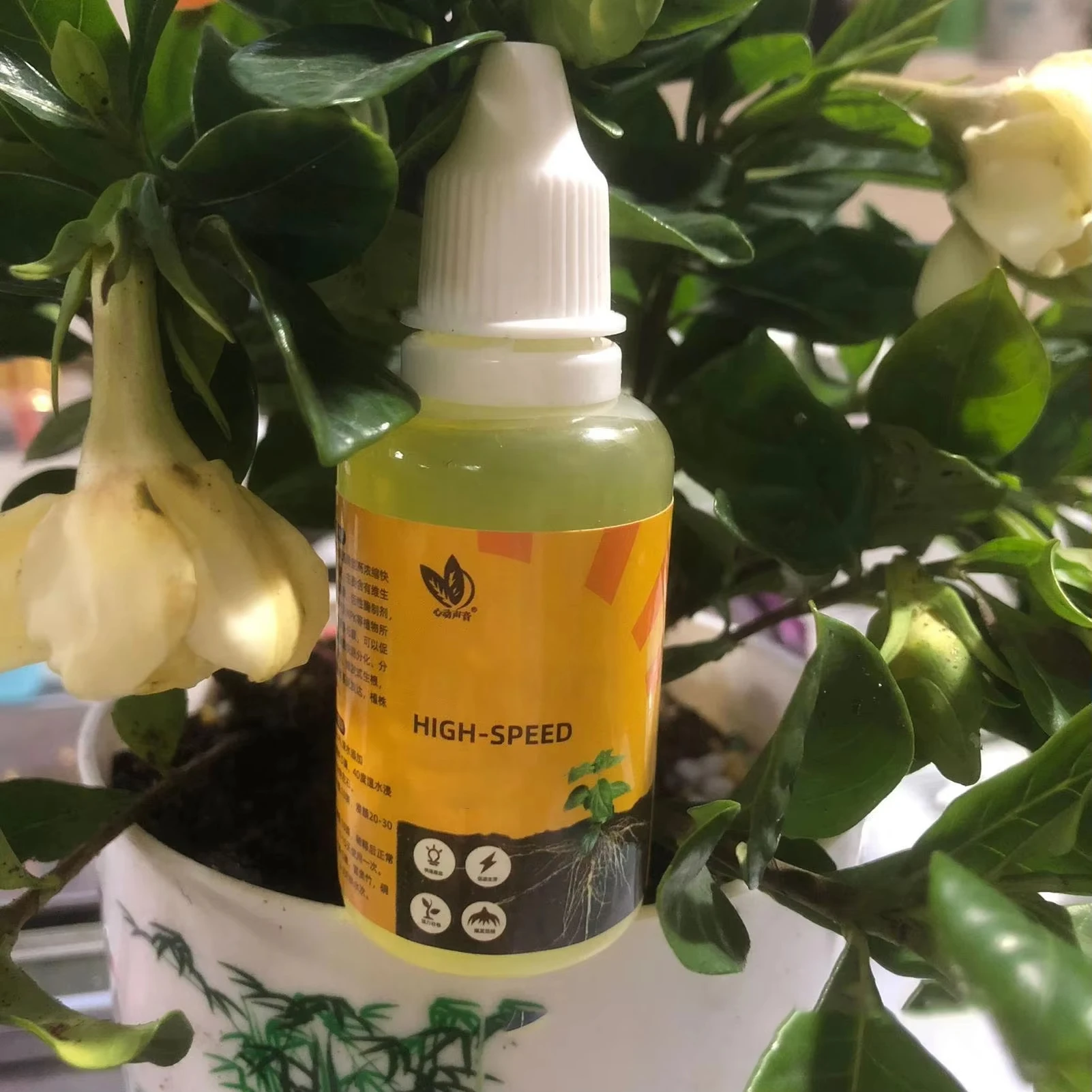 50ml Plant Root Booster Liquid Plant Rooting Stimulator Liquid Rapid Rooting Agent Liquid Fertilizer Strong Rooting Stimulator