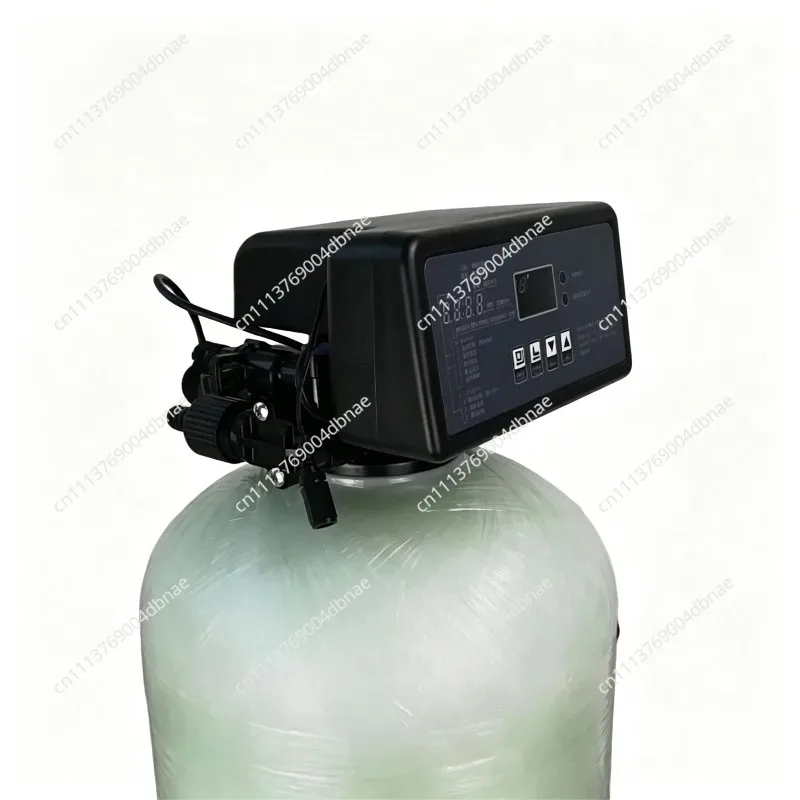 F117Q3 Water Treatment Control Valve Softening and Regeneration Flow Type 2-ton Softening Water Machine
