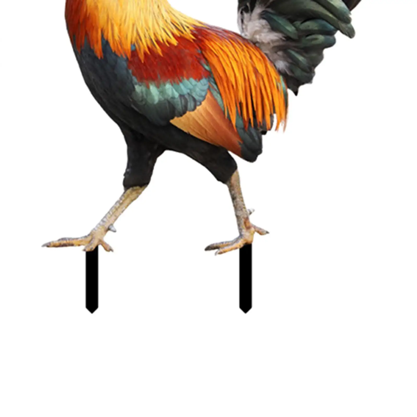 2 قطعة تمثال الديك حديقة حصص التماثيل الديك إدراج الأرض ، ساحة واقعية الفن الحيوان المنحوتات لحديقة الفناء