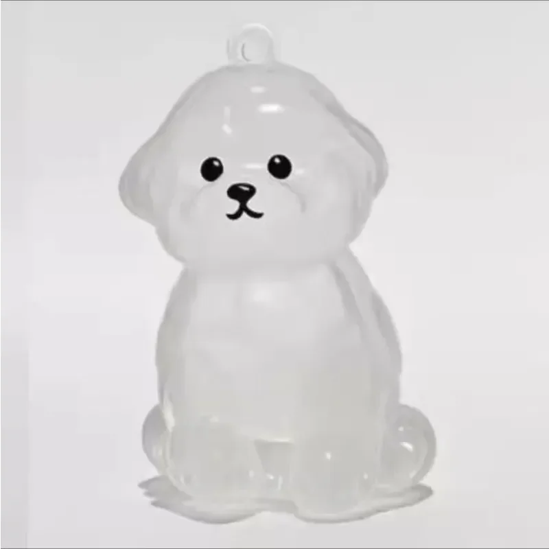 Conteneur Transparent de stockage de poils de chien, Adorable pendentif de Capsule de souvenir d'animal de compagnie avec porte-clés pour les amoureux des animaux de compagnie, porte-clés commémoratif DIY