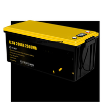 GoKWh Lithium Ion 12V 24V 100Ah 200Ah Lifepo4 Solar Battery for Energy Storage Home Boat RV Ship Camping Car Bus Golf Carts