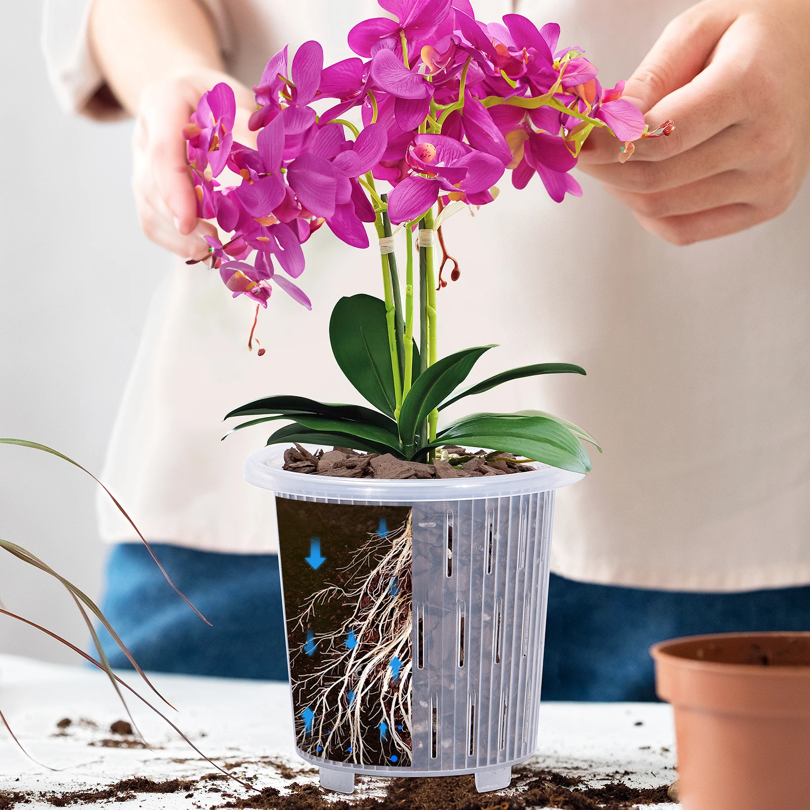 Meshpot Clear Plastic Orchid Pots For Flower Breathable Basin Orchid Planters Root Control Orchid Transparent Desktop Pot