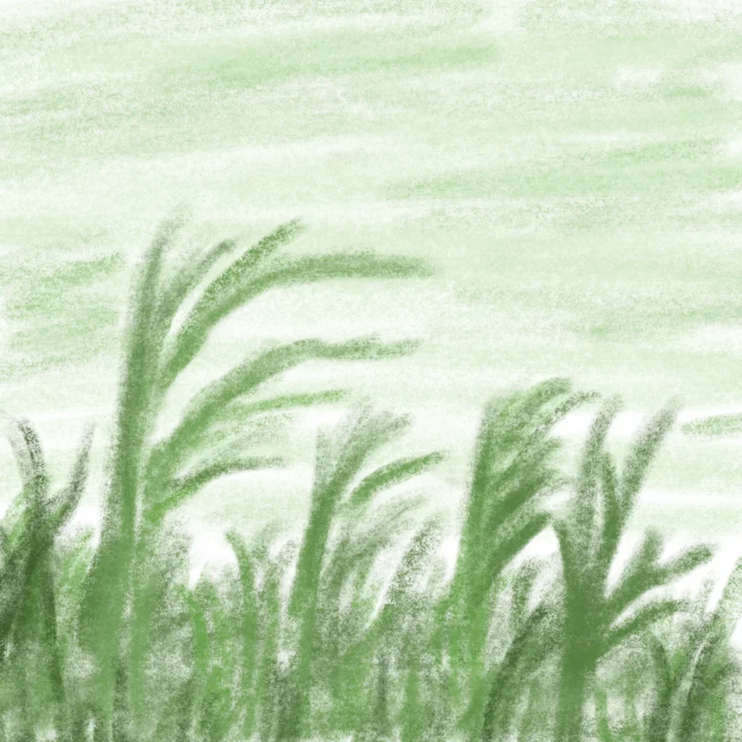 

Android13 256G Car Stereo For Chevrolet Cavalier 2010-2016 GPS Navigation Headunit Multimedia Player Auto Electronic