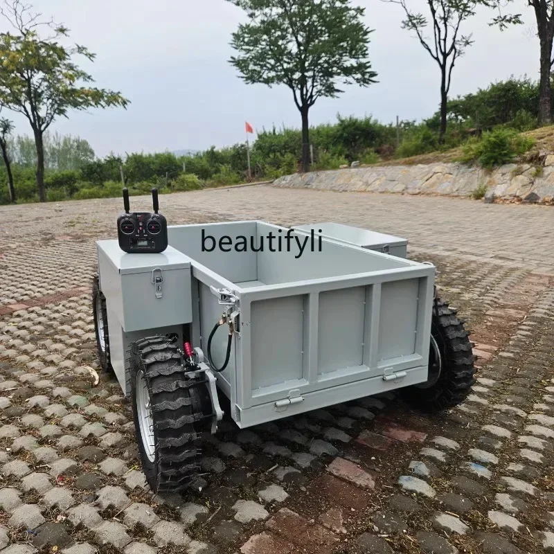 AY  All-terrain four-wheel drive electric remote control truck Orchard mountain climbing four-wheel drive remote control truck