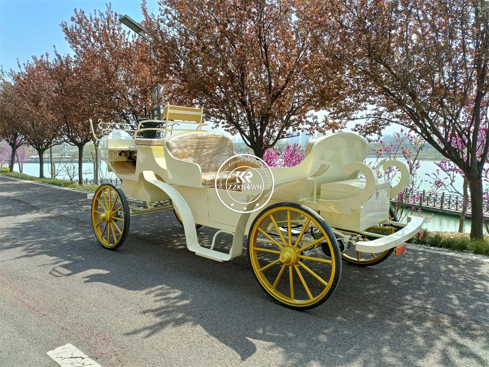 Двухрядные экскурсионные коляски в европейском стиле электрические Свадебные королевские коляски для продажи