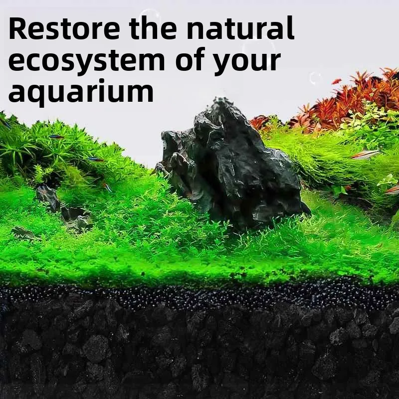 Natural Black Volcanic Rock Particle Aquarium Bottom Sand Filter Mulch Soil Cactus Landscape Decorative Material for Turtle