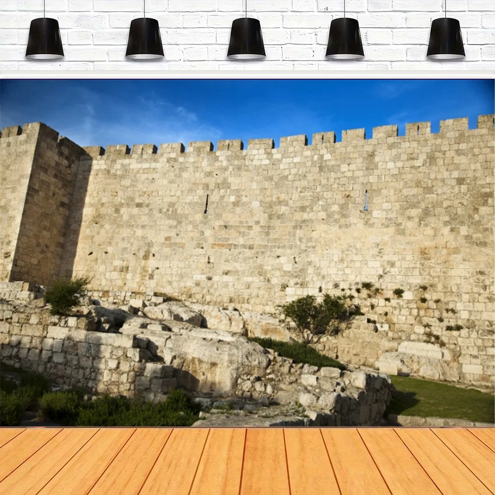 

Фон для фотосъемки Западная стена Иерусалимский городской пейзаж Израиль плачущая стена фон для вечеринки фотобудка реквизит баннер