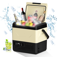 Treeligo DC12V124V MINI 12L Car Portable Fridge Freezer Refrigerator Compressor Cooler AC220V For Camping Picnics Travel RV Home