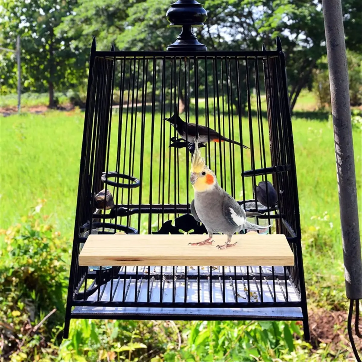 3 Pack Bird Perch Stand, Parrot Wood Platform, Wooden Perch Toys Playground Cage for Conure, , Parakeet