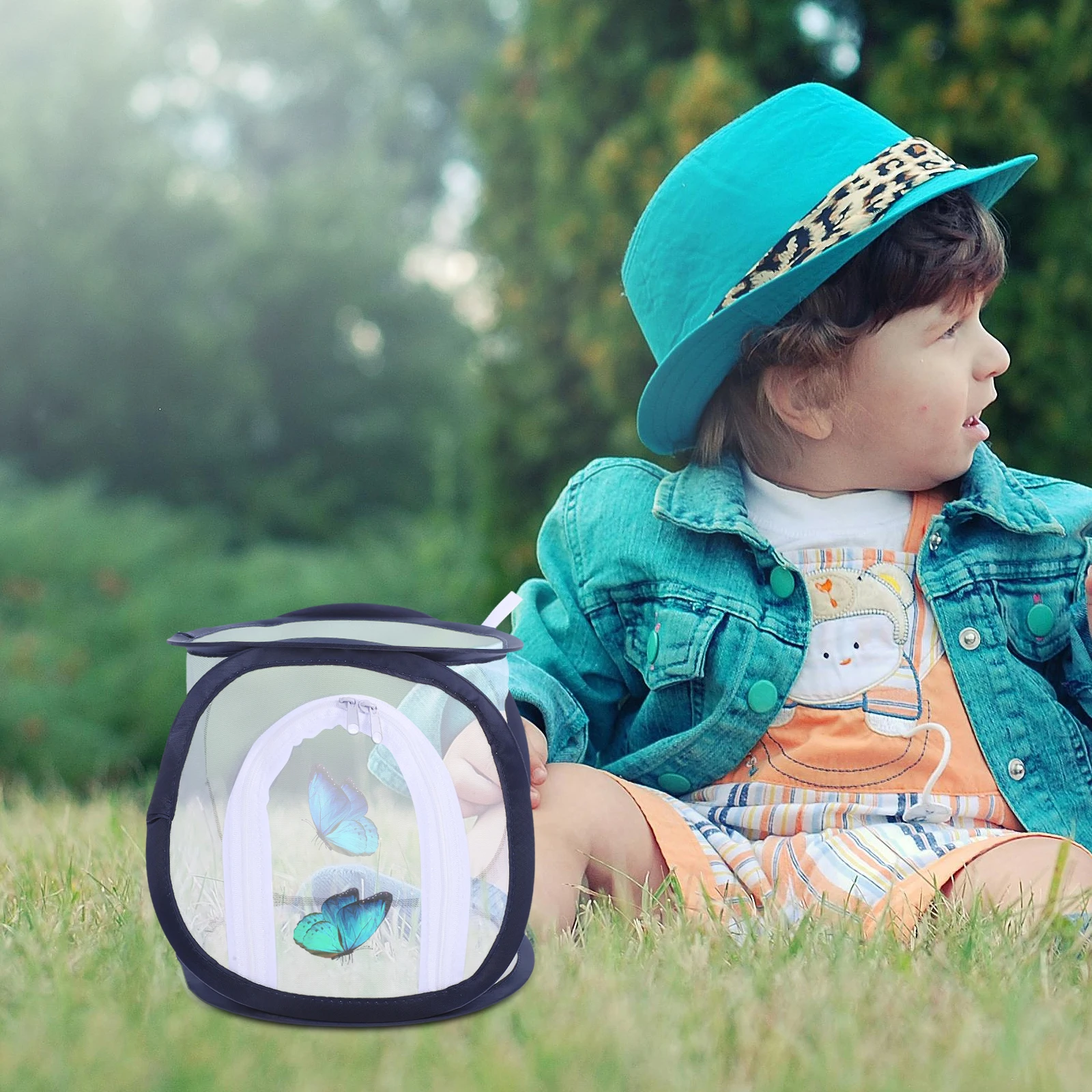 

Insect Cage Butterfly Habitat Foldable Transparent Mesh Enclosure For Caterpillar Rearing Indoor Outdoor Garden Use Educational