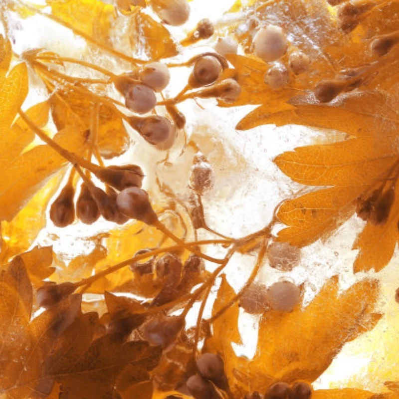 

115mm 1.9” Metal Beadlock Wheel Rim & K02 Rubber Tire Set for 1/10 RC Crawler - TRX4, RC4WD D90, Axial SCX10, MST