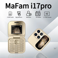 Portable Cute Clamshell Push Button Phone Small Size Magic Voice Two Sim Blacklist Torch Flip Cellphone For Senior Low Price