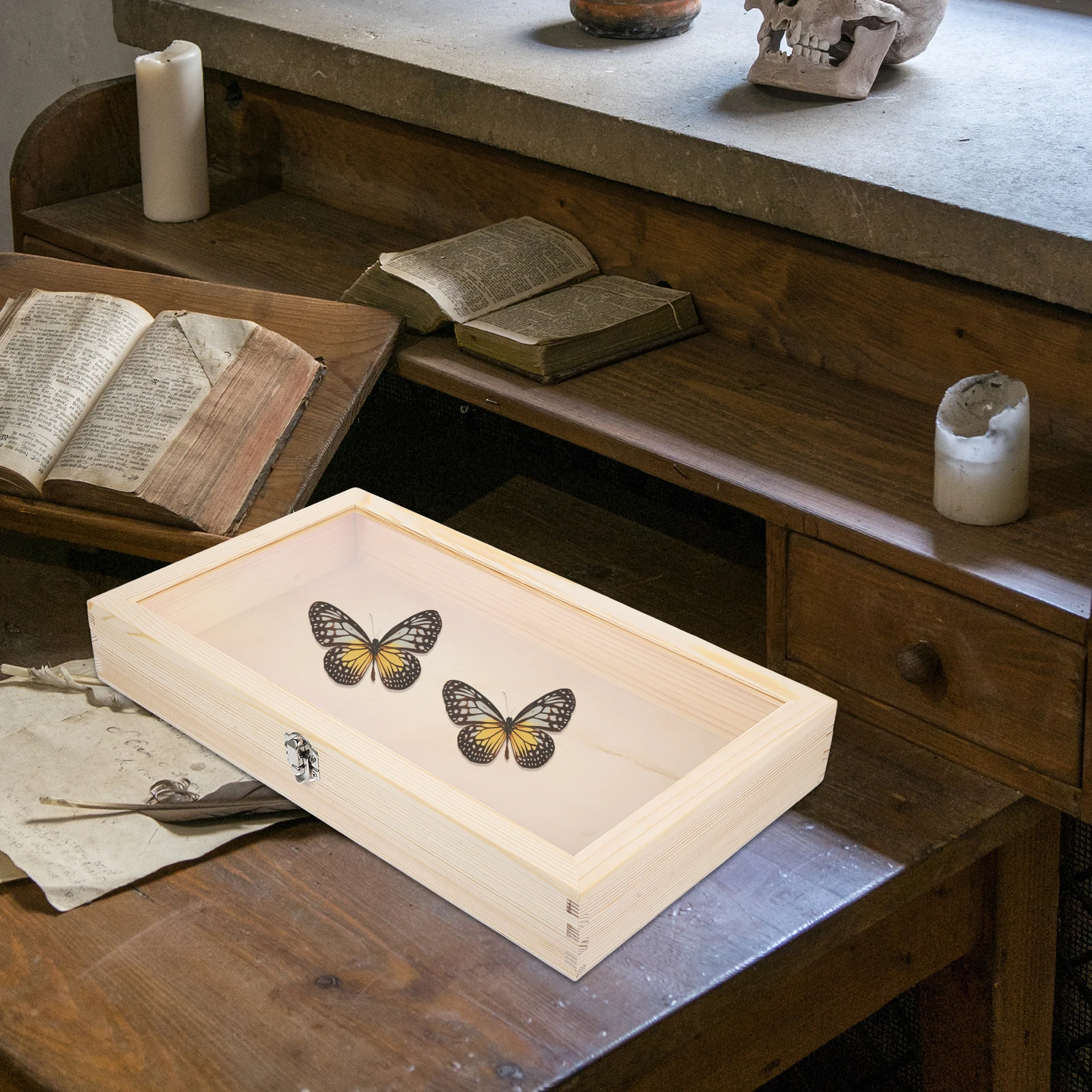 

Vintage Style Wooden Specimen Display Box with Transparent Lid Dustproof Storage Case for Butterfly and