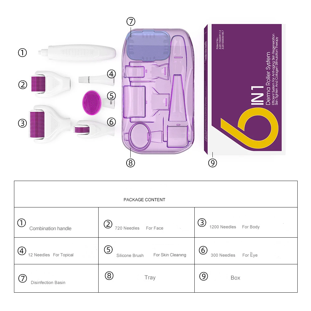 6 In 1 Microneedle Derma Roller Kit Voor Gezicht Oog Lichaam 300/720/1200 Rolsysteem Micronaaldling Gezichtsroller Schoonheidsverzorging Tool