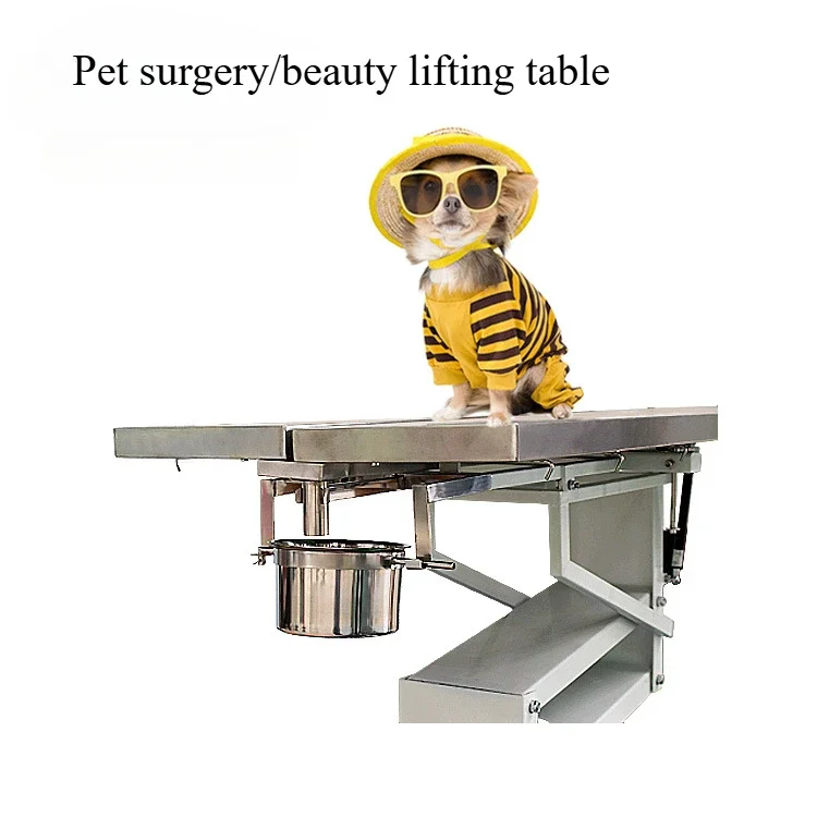 Pet Electric Lifting Console Pet Inspection Console, Stainless Steel Electric Lifting Diagnosis and Treatment Table Beauty Table