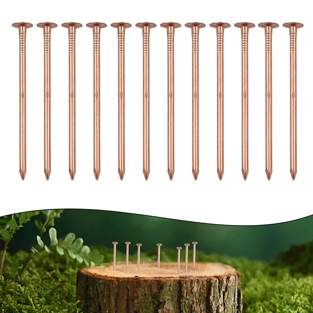 4-inch Copper Tree Stump Killer User-Friendly Application 4-Inch Size Compatible With Stump Removal Ease Of Use