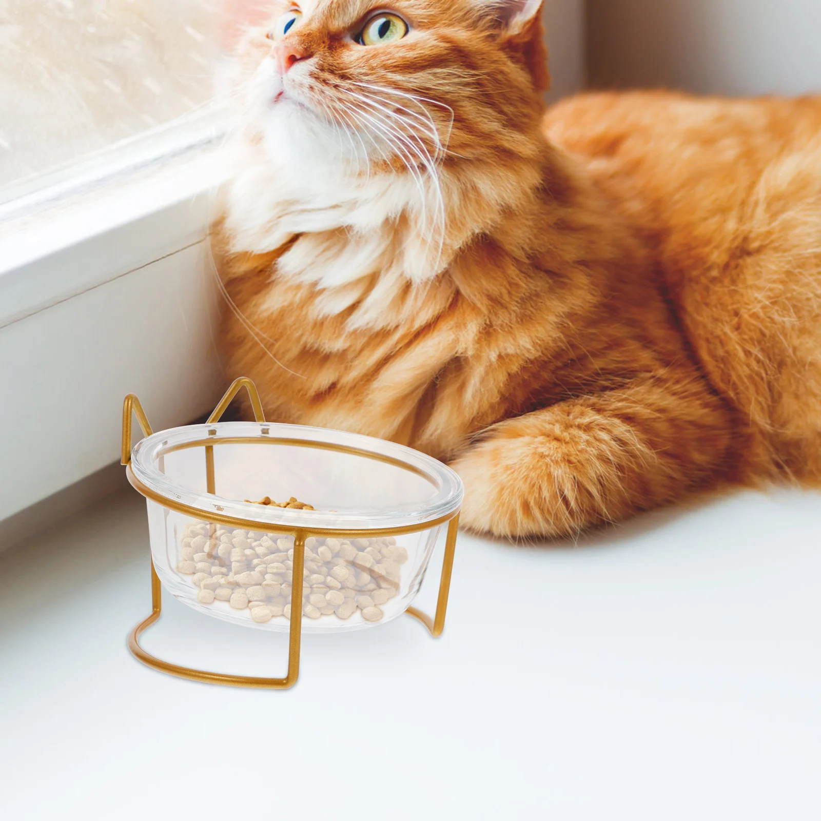 

1Set Cat Glass Feeding Bowl with High Base Angled Design for Cervical Care Pet Food Water Container Scratch Resistant