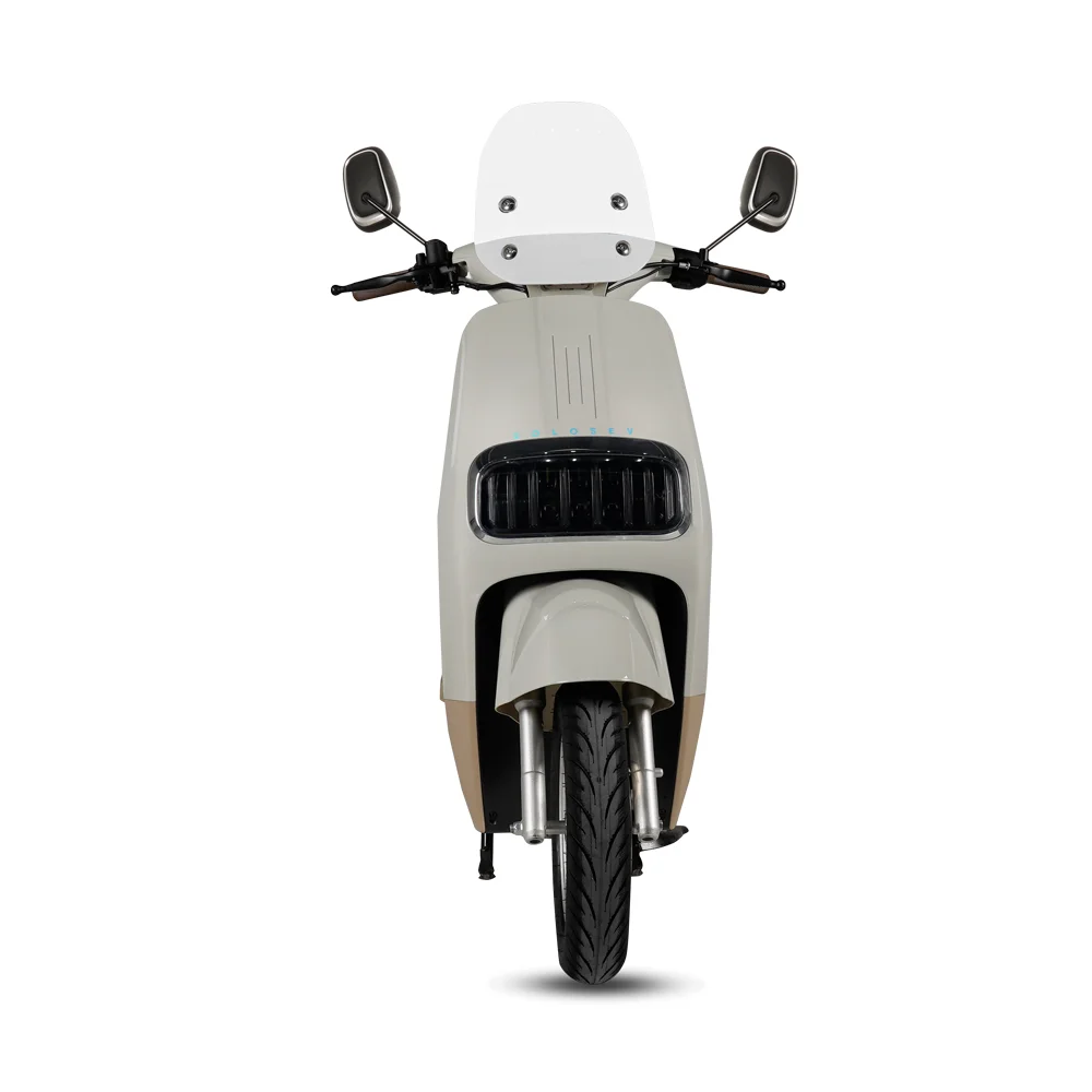 High Power 1000W Electric Scooter Adult 10 Inch Wheel Long Range 50-60km Reverse Gear USB Alarm Remote