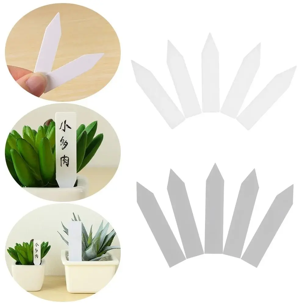 

100pcs New Plastic Garden Plant Labels Mini Tray Mark Plant Tags Garden Stake Tags Plant Seed Label Nursery Markers Label