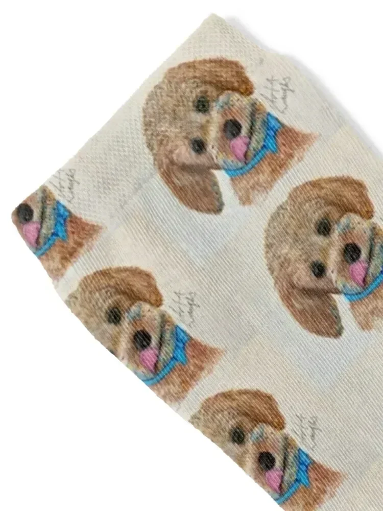 Missing Cupcake Socks designer halloween anti-slip kids Men's Socks Women's