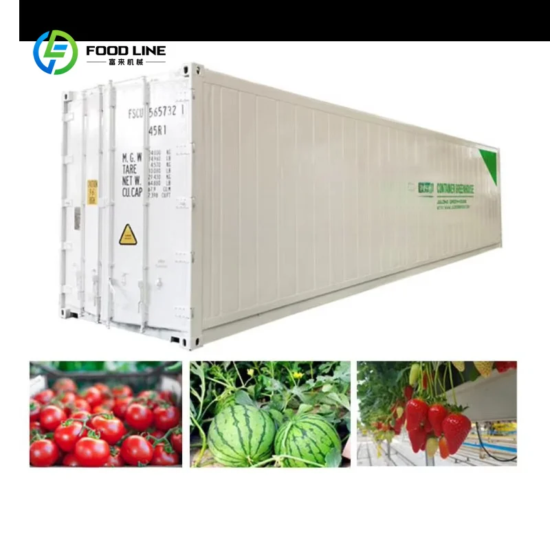 Customized Shipping Container Farm Vertical Farming Hydroponic Fodder Plant Factory Farming Container Greenhouse