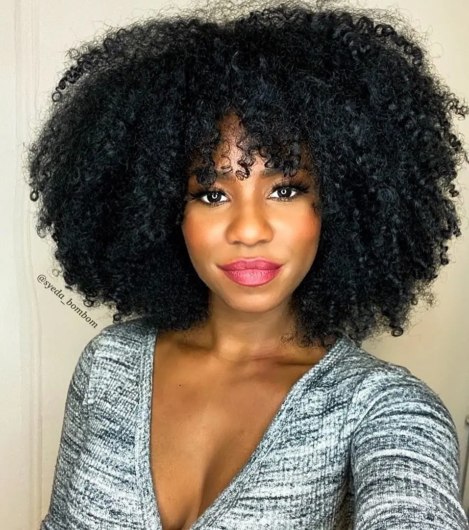 Curly Wigs with Bangs Afro Hair Synthetic Heat Resistant Wigs Short Curly Wig Curly Wigs for Black Women Afro  ﻿