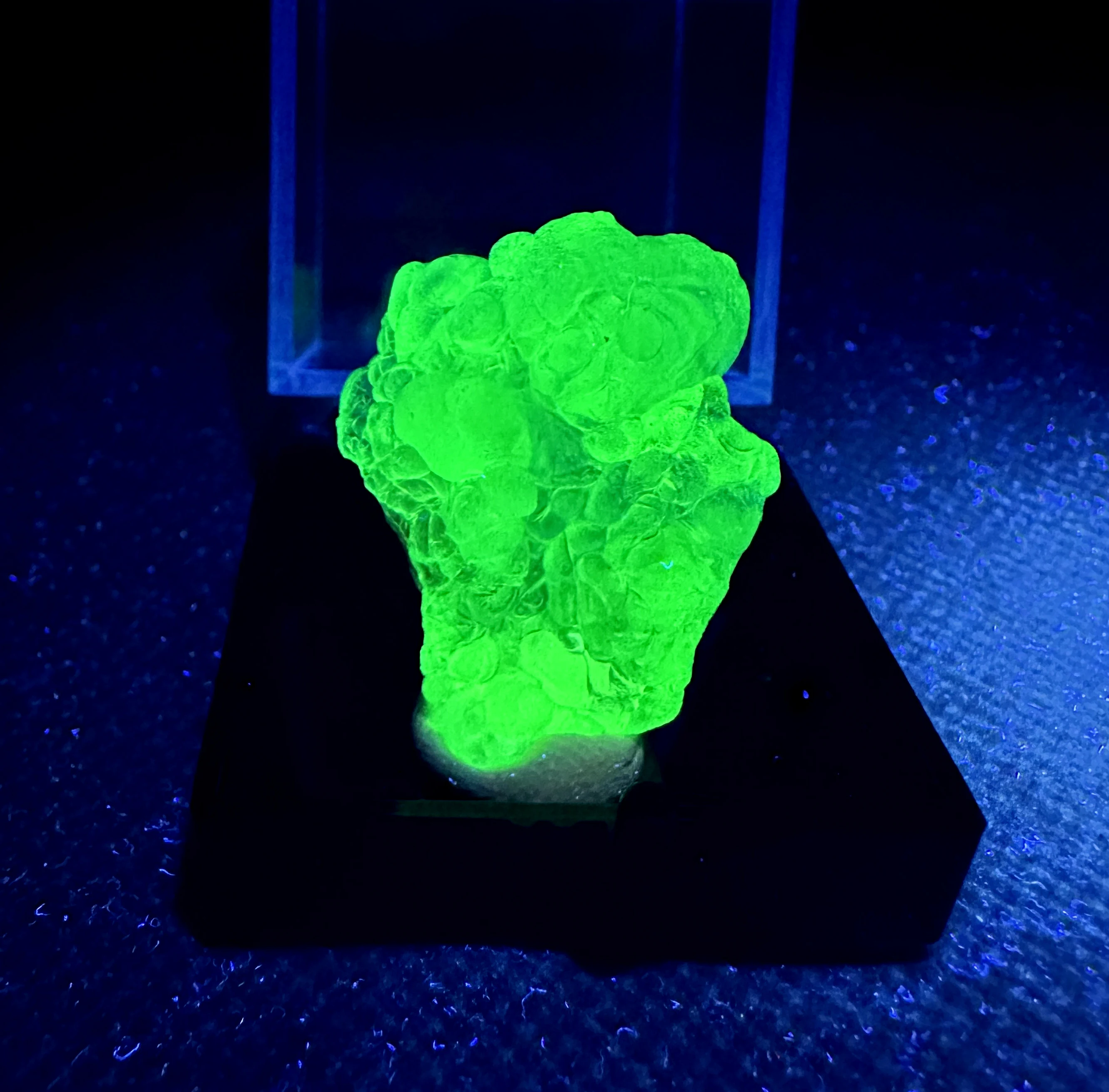 

Образец минерала Natural Mexico Green Fluorescence Hyalite (Стеклянный Опал) + размер коробки 3,4 см + целебные кристаллы и камни кварца