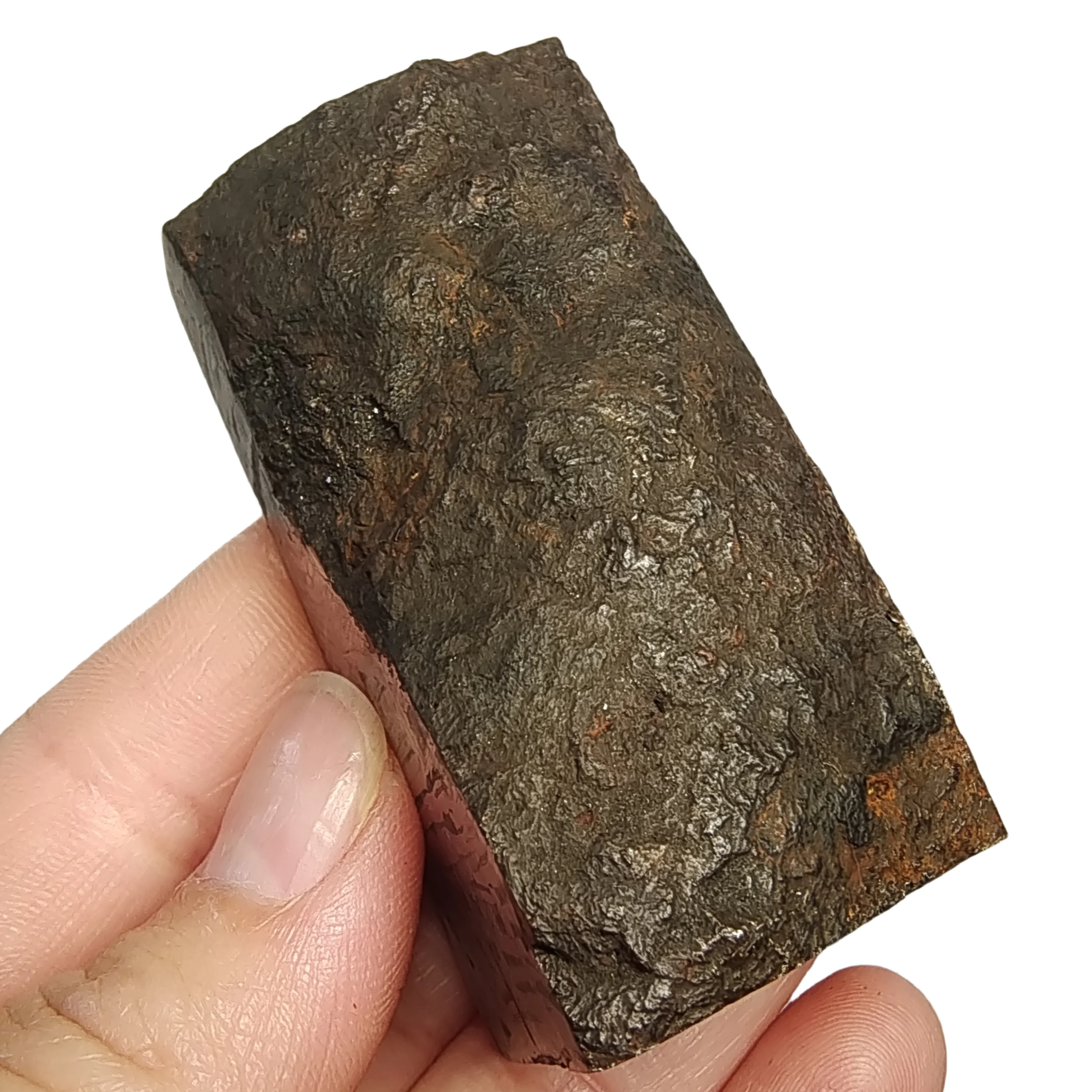 330.7g Muonionalusta Natural iron meteorite specimen section Iron meteorite materials Meteorite Specimen Collection -QC745