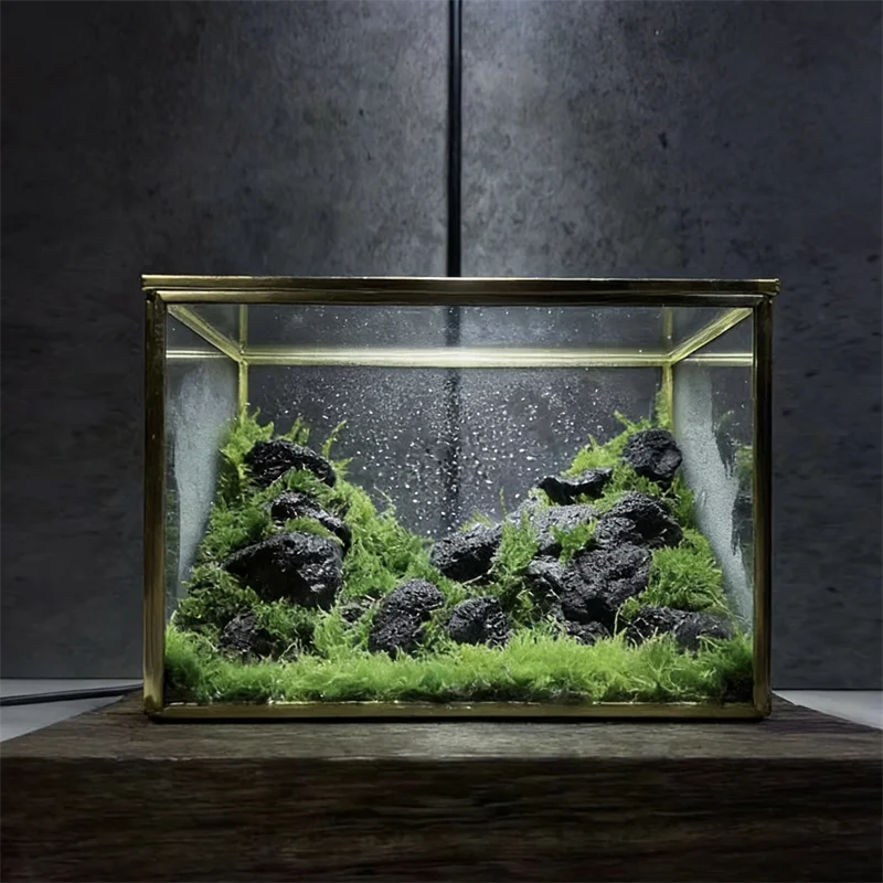 Mikro-Landschaft Ökologisches Quaderförmiges Geometrisches Glas-Terrarium Moos-Pflanzen Glasvase Behälter Tisch-Gewächshaus
