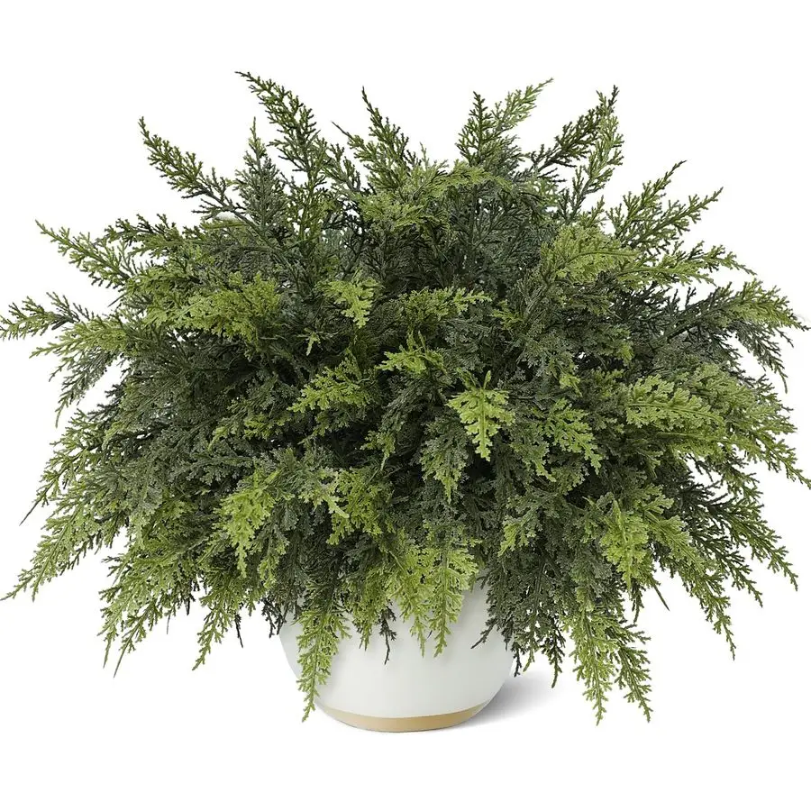 

18 Real Touch Cedar Branches 24 Pcs, Artificial Christmas Cedar Branch Realistic Fake Pine Picks Faux Greenery Plants Stem for V