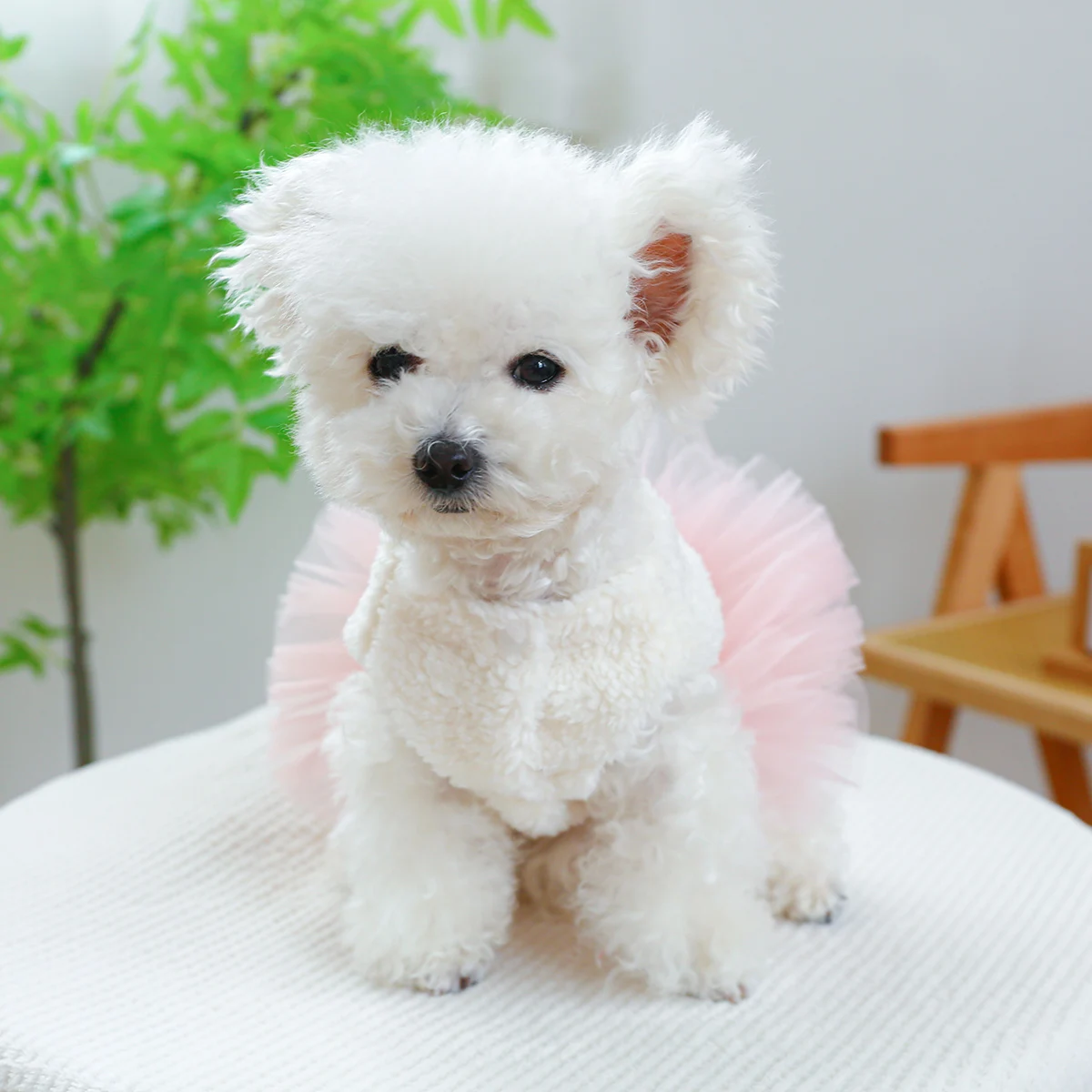 1PC Pet Apparel Dog Autumn/Winter Thickened  White Unicorn Princess   Yarn Dress With Drawstring Buckle For Small Medium Dogs