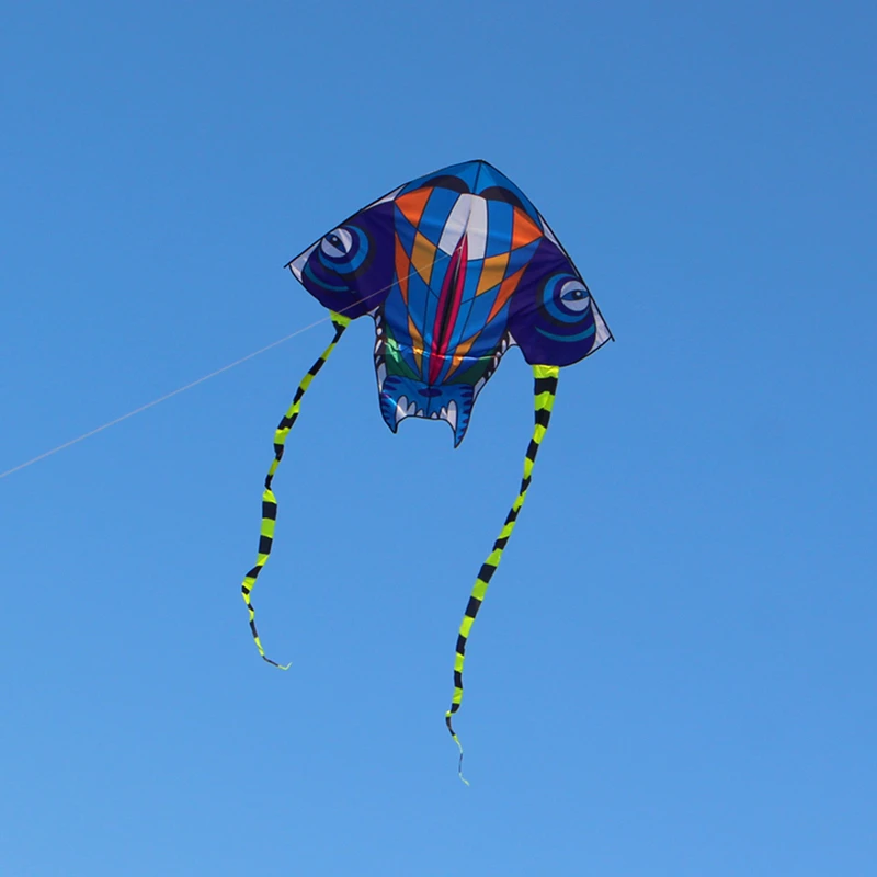 Cerfs-volants pour enfants, jouets volants, ligne unique, dragon, ensemble de vol, kitesurf, livraison gratuite