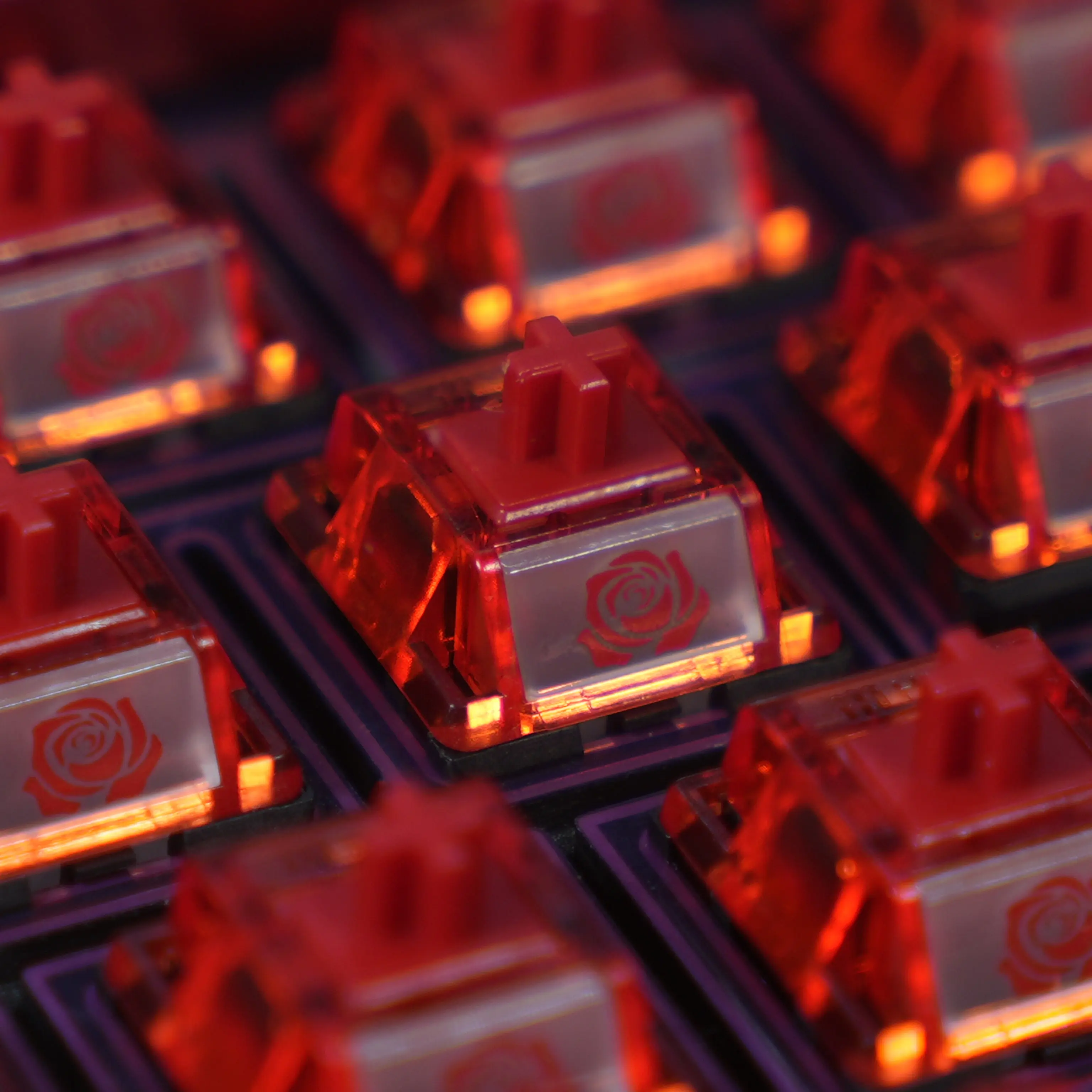 Centifolia Rose Switch Linear Pre-Lubed 5 Pins HotSwap LY Stem HMX Crisp Sound Switches For Mx Mechanical Keyboard
