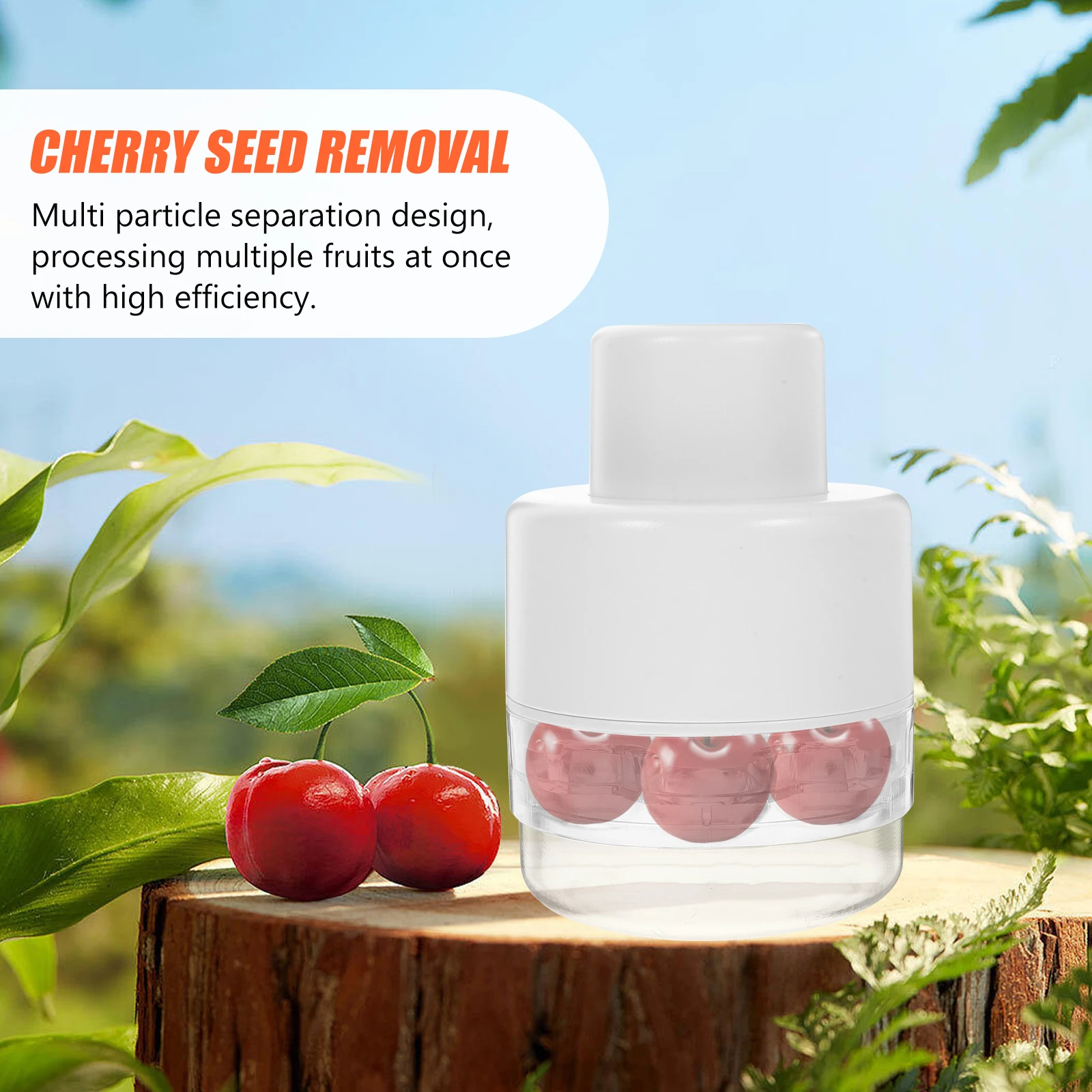 

Cherry Core Remover Press Type Multi-Functional Fruit Pitting Tool for Cherries Dates Jujubes Kitchen Gadget Efficient Pit