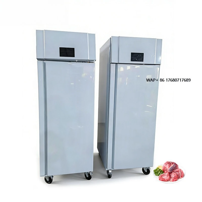 Large Meat Defrosting Cabinet, Commercial Frost-Free Rapid Defrosting Machine, Food Defrosting Equipment for Hotel Kitchens