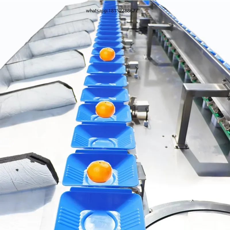 Automatic Eco-Friendly Commercial Vegetable and Fruit Sorting Grading Machine