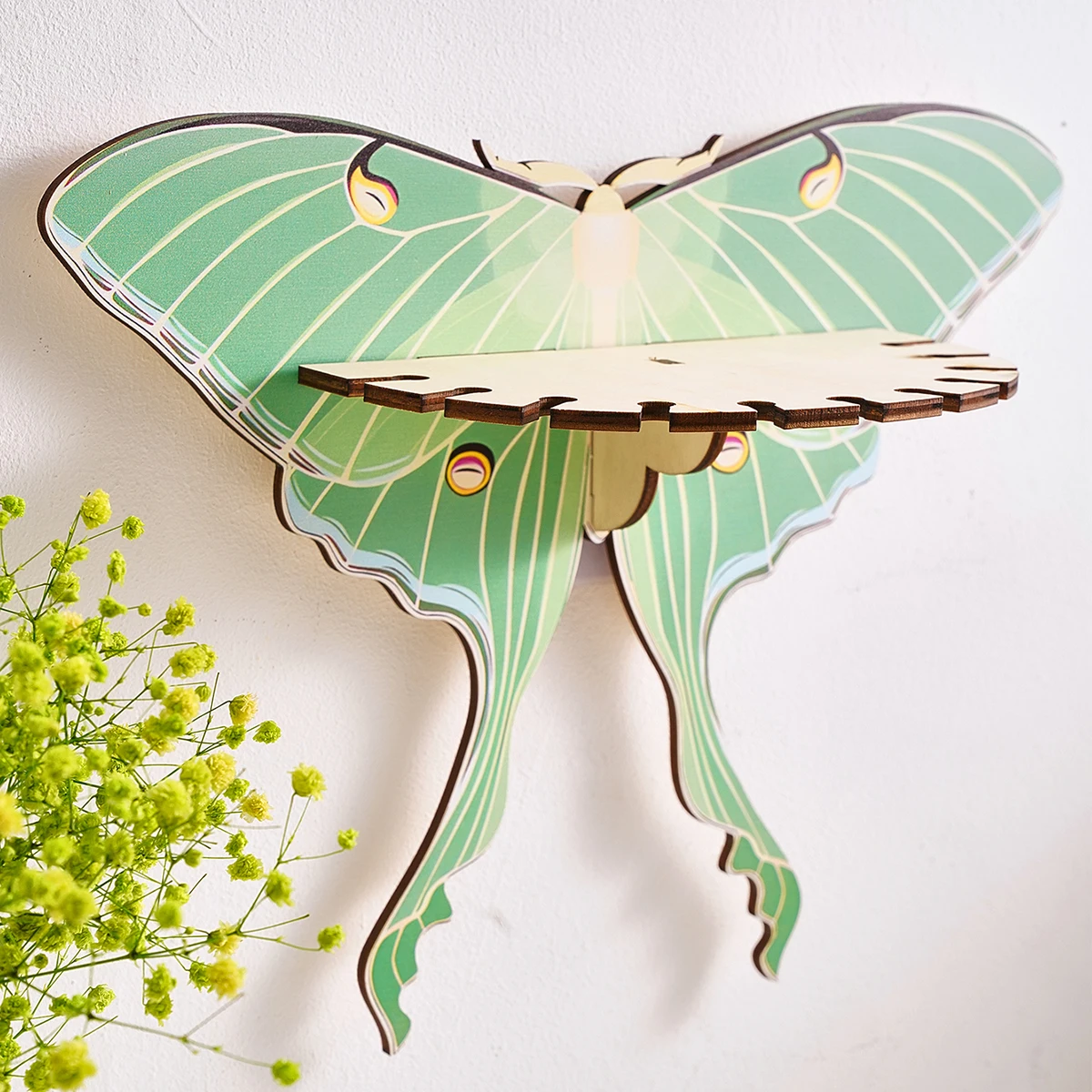 

1PC creative simple wall paste tiger butterfly storage display rack (without nails), colorful creative butterfly, butterfly deco