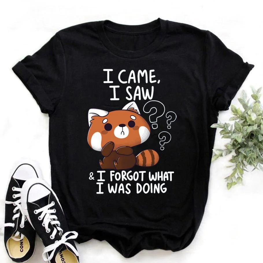Cute Raccoon I Came I Saw T-shirts For Women Summer Tee Shirt Femme Casual Short Sleeve Round Neck Tops T-shirts