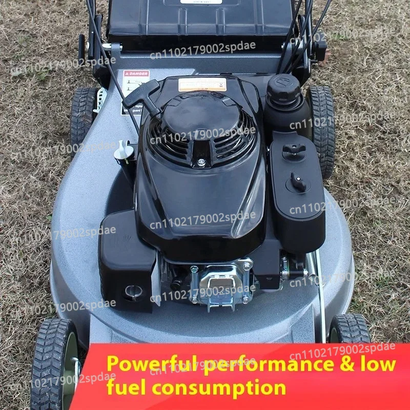 4-Stroke 160cc Push Lawn Mower 16-21 Inch Cutting Deck 3-in-1 With Grass Bag For Garden Lawn Yard Use