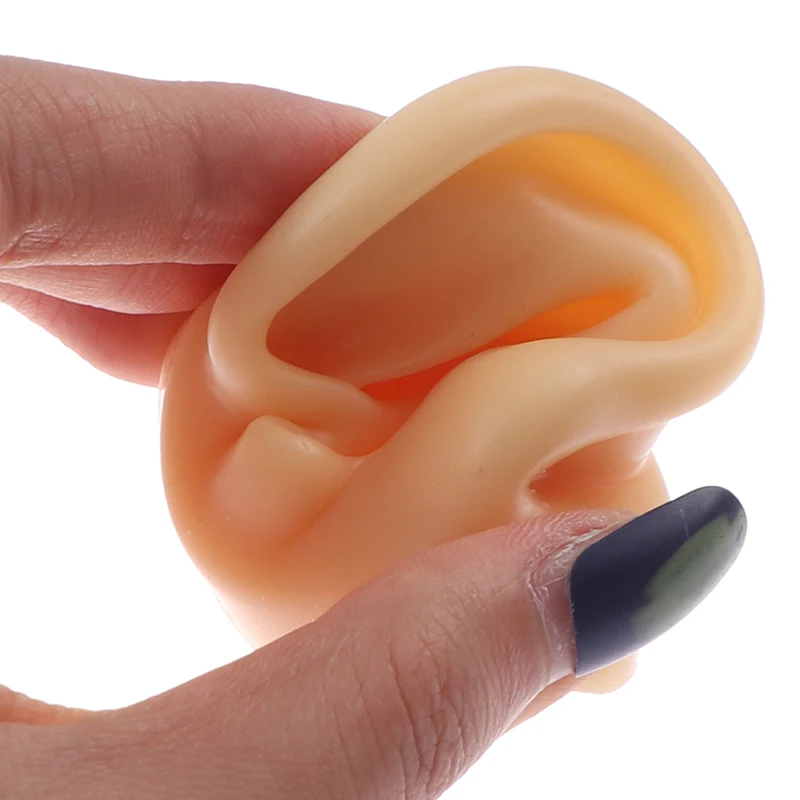 

1X Silicone Ear Model Practice Piercing Tools Ear Stud Display Tool Body Jewelry