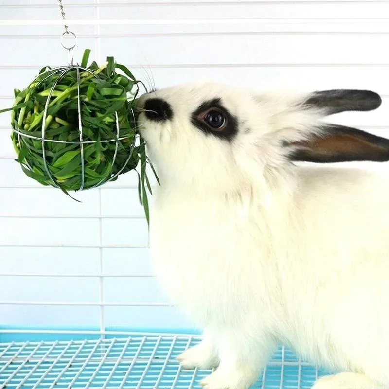 Stainless Steel Plated Hay Rack Ball Feed Dispenser Suspendable Toy Guinea Pig Hamster Rat Rabbit Pet Supply Grass Rack Ball