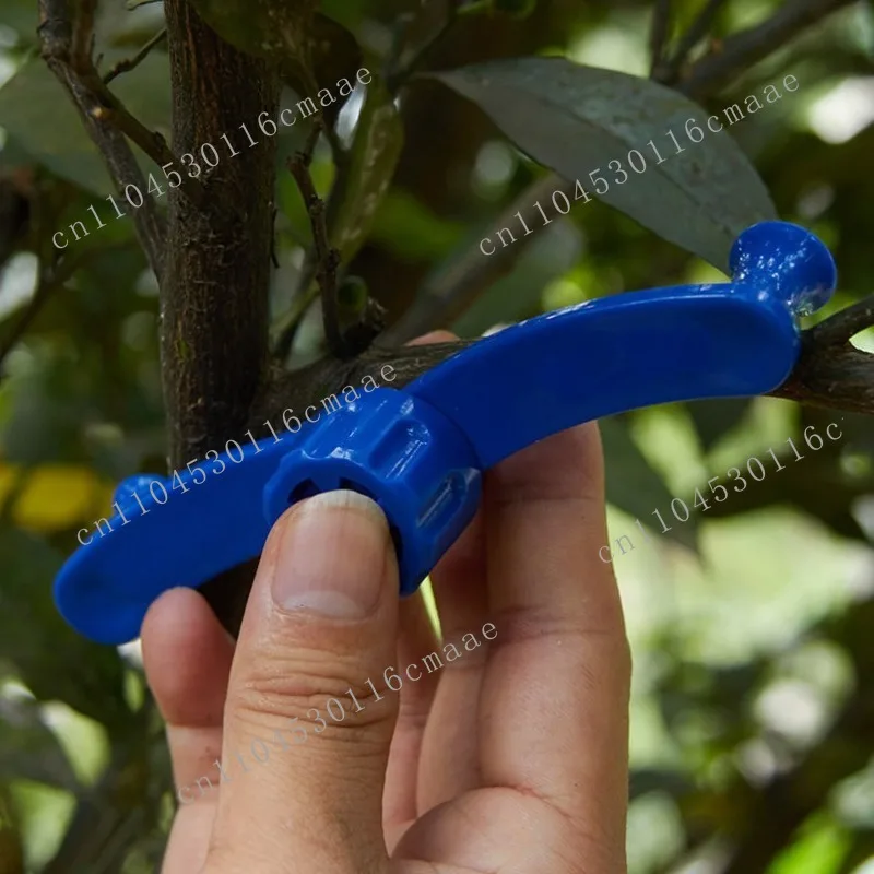

Bending tool presses a new generation of 360-degree seedling corrective strips to fix twisted branches and fruit trees
