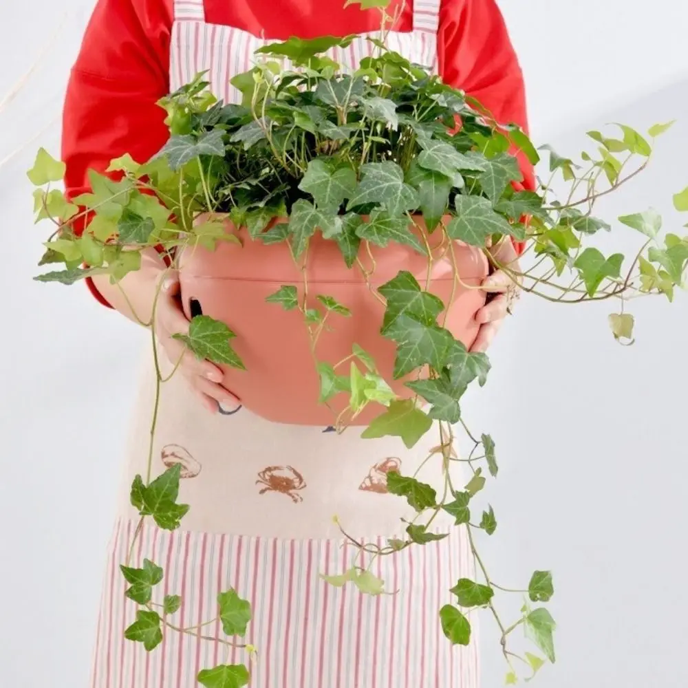 Plastic Bowl-Shaped Flower Pot Detachable Self Absorbing Water Hanging Flower Pot with Hook Plant Holder Basket Garden