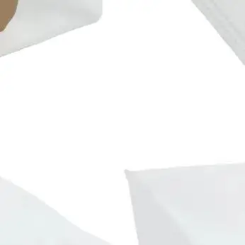 

4/10pcs Dust Bags For Conga 5500 For Hurricane Station For Flex Vacuum Cleaner Accessories Non-woven Fabric Vacuum Cleaner Part