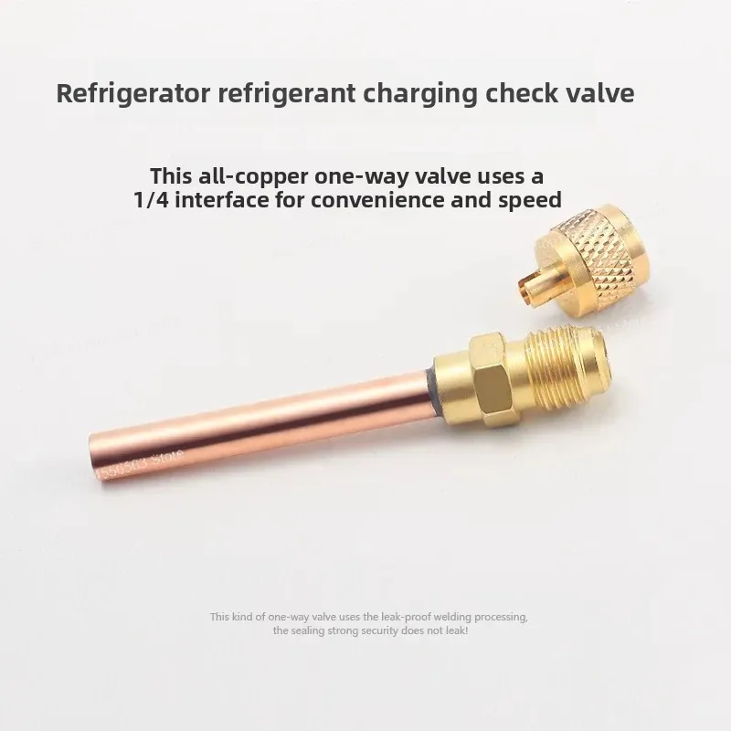 ten pieces  Refrigerator check valve, fluoride nozzle, liquid nozzle, refrigerator quick connector, fluoride quick connector