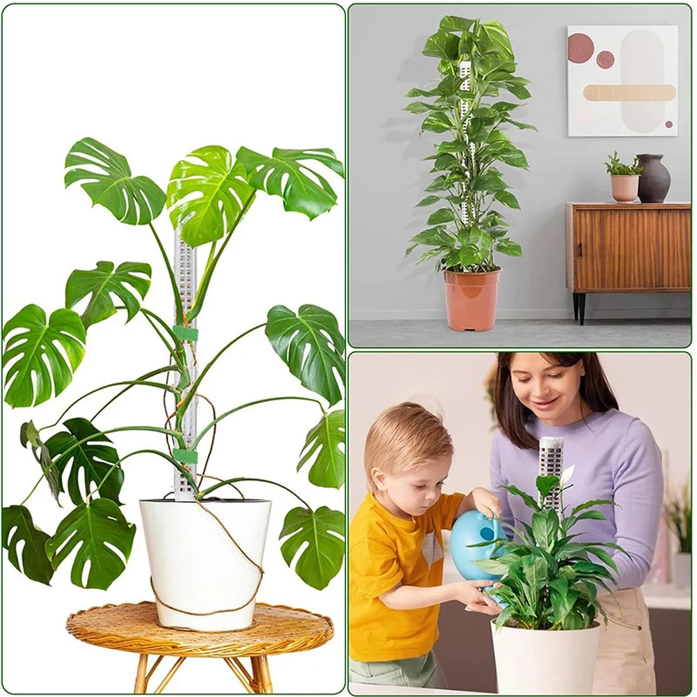 Plastic For Climbing Plant Support Kit with Moss Poles Fixed Ties and Plant Labels Compatible with Monstera Pothos Philodendron